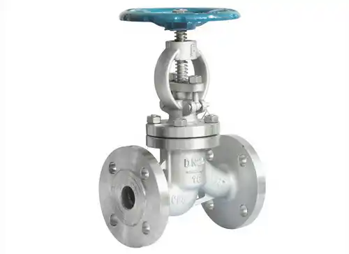 Globe Valve